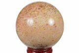Polished Petrified Palmwood (Palmoxylon) Sphere #188876-1